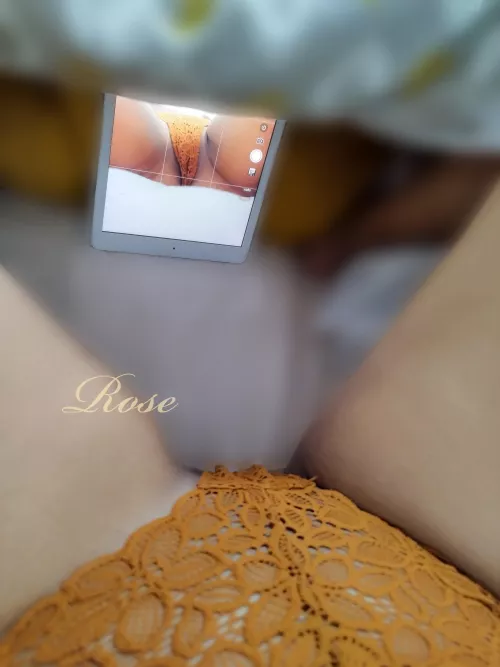 Visual Echo by Free_Rose_