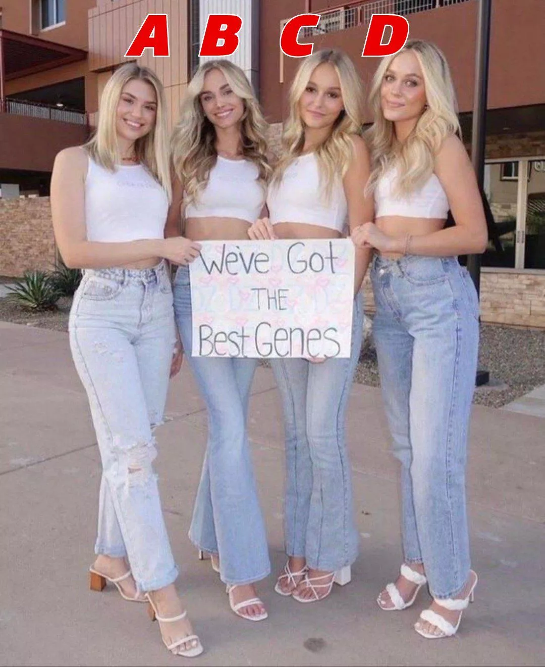 A, B, C, or D? Who's got the Best Genes for You?!? [4] posted by Luc1d84