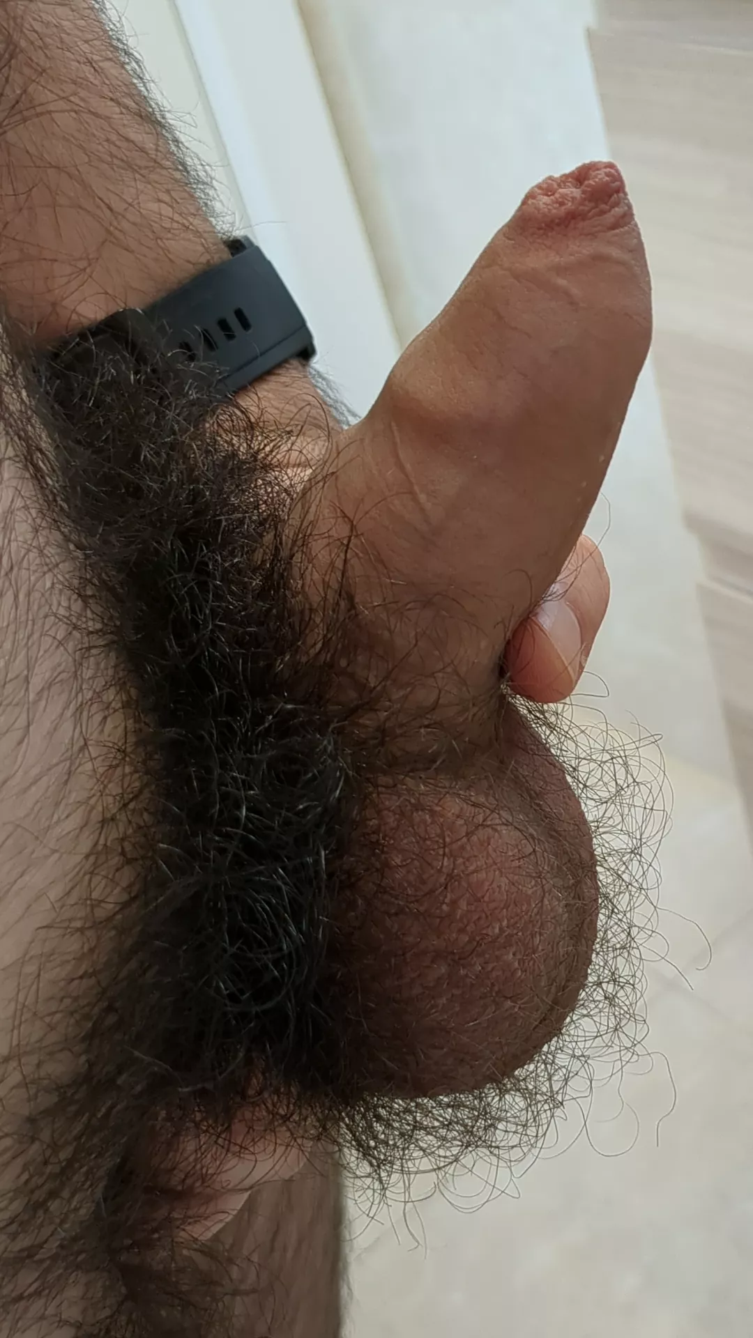 Are my 23yo balls big and hairy enough for you? posted by No_Needleworker8399