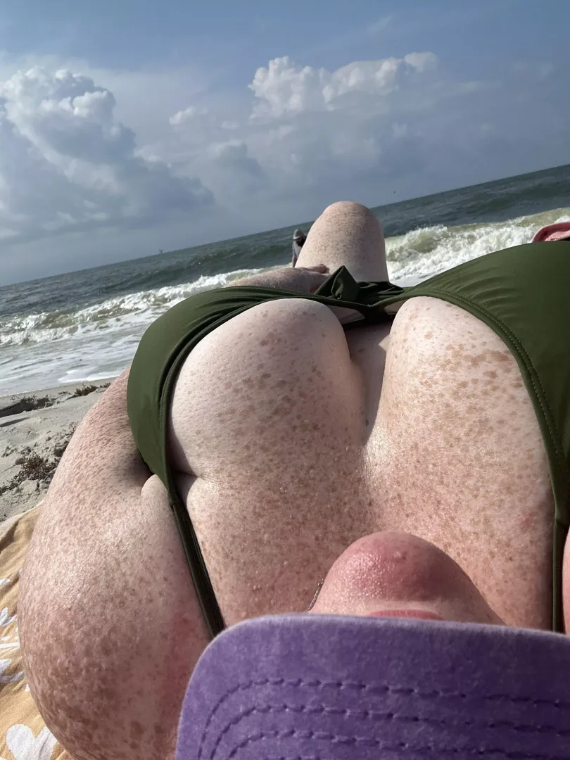 Beachy (f)rex  posted by LynnaJean