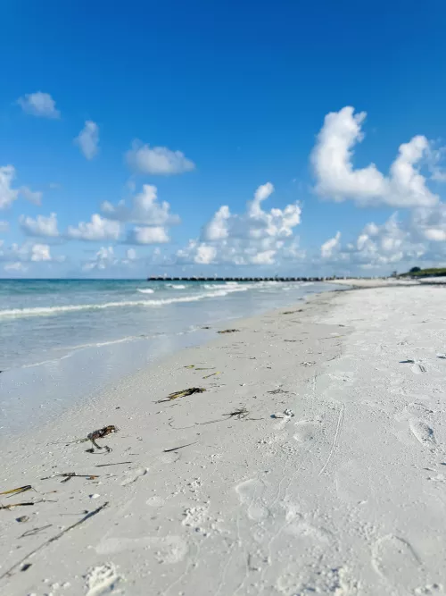 Coquina Beach, Fl by sinfully_curious