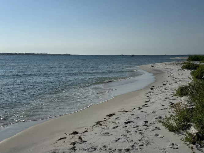 Friday beach day by maggiemae-