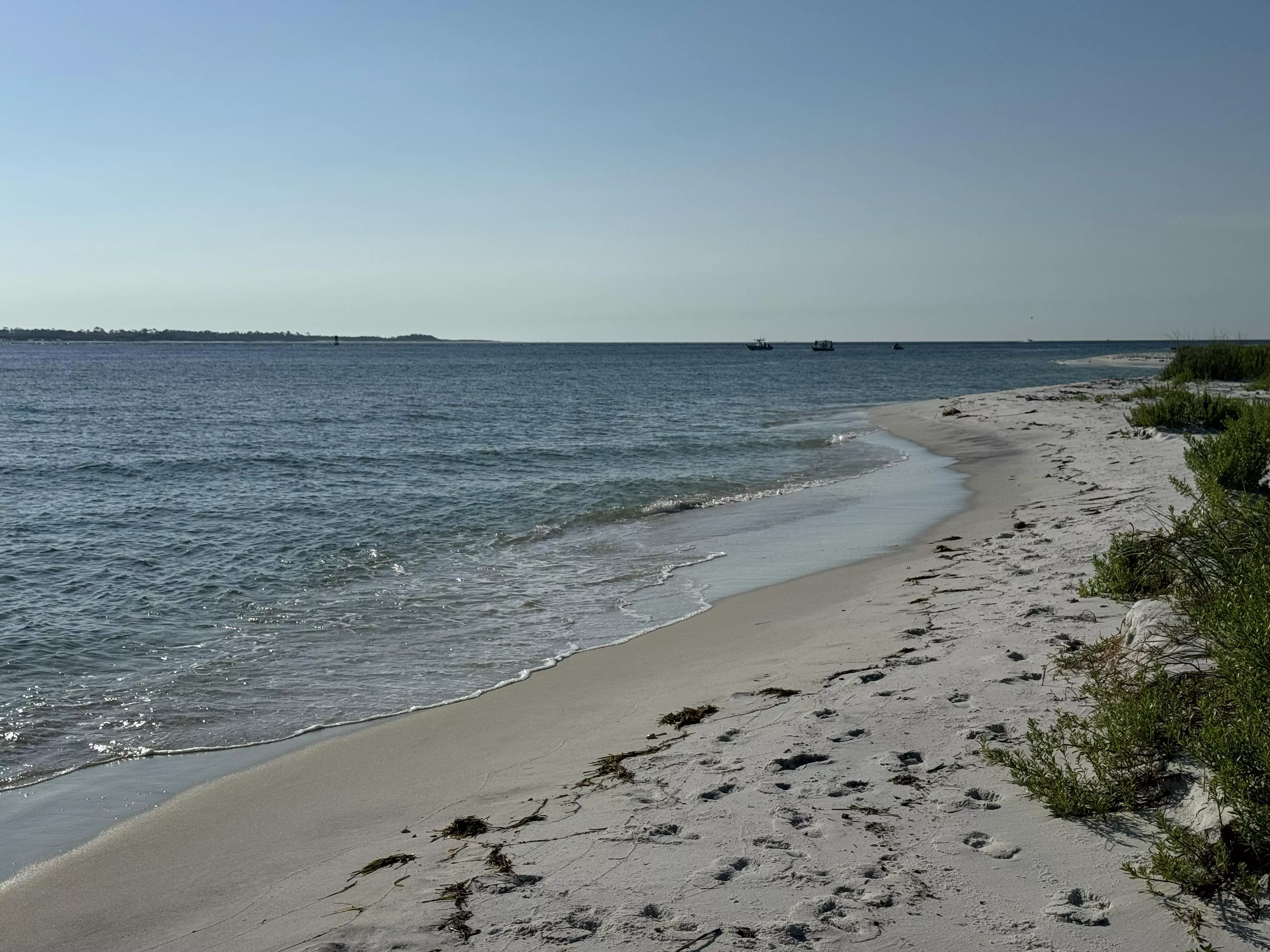Friday beach day posted by maggiemae-