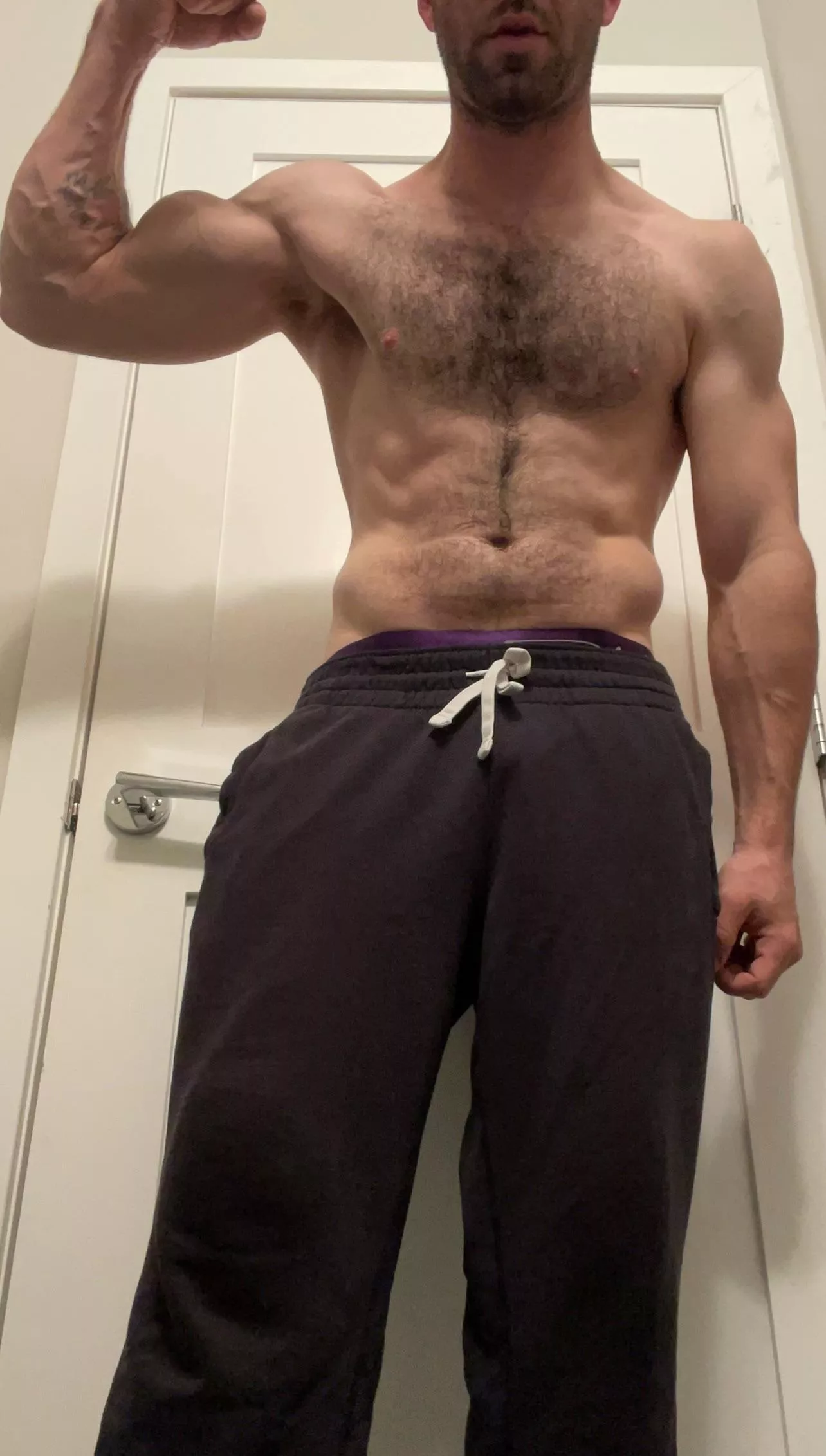 Furry enough? posted by NoLimit3496