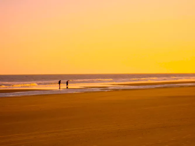 Golden Eve at Isle of Palms by 11Catalina