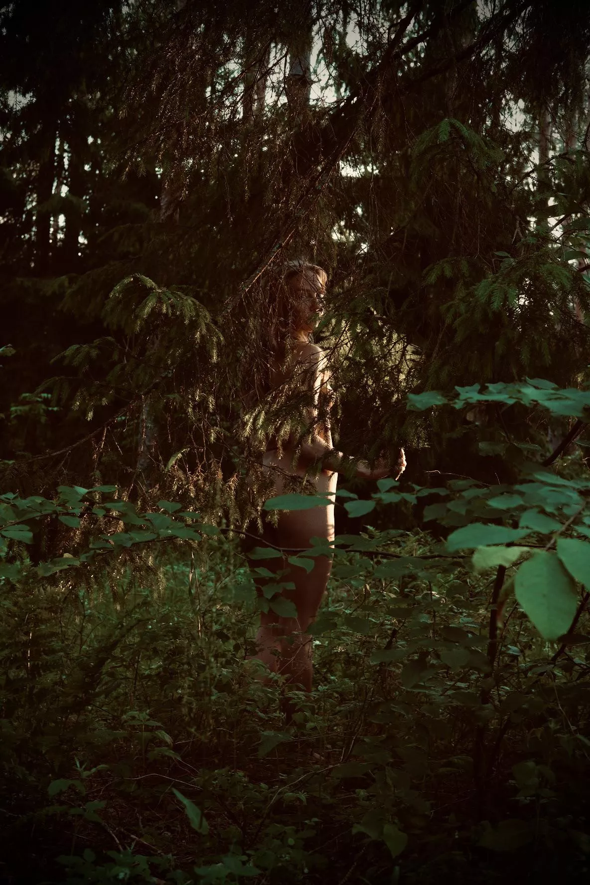 Hiding posted by Artanni55