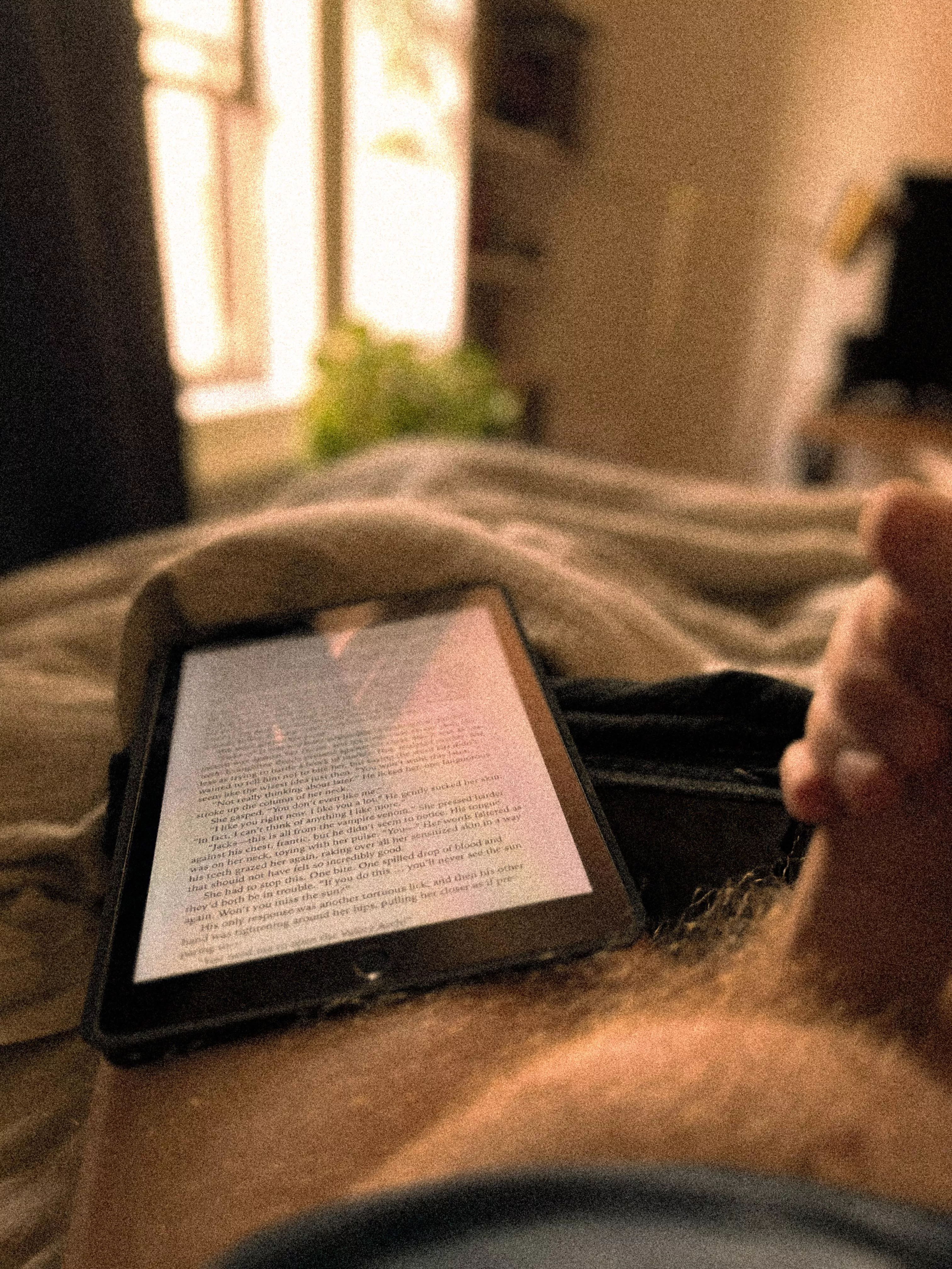 lazy saturday morning reading in bed posted by anonimal8
