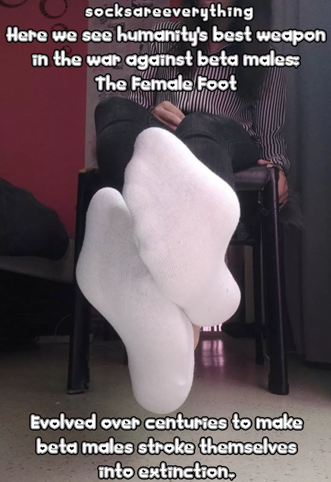 My Socked Feet - The Perfection - And for that you will stroke yourself into extinction my beta baby posted by SocksAreEverything