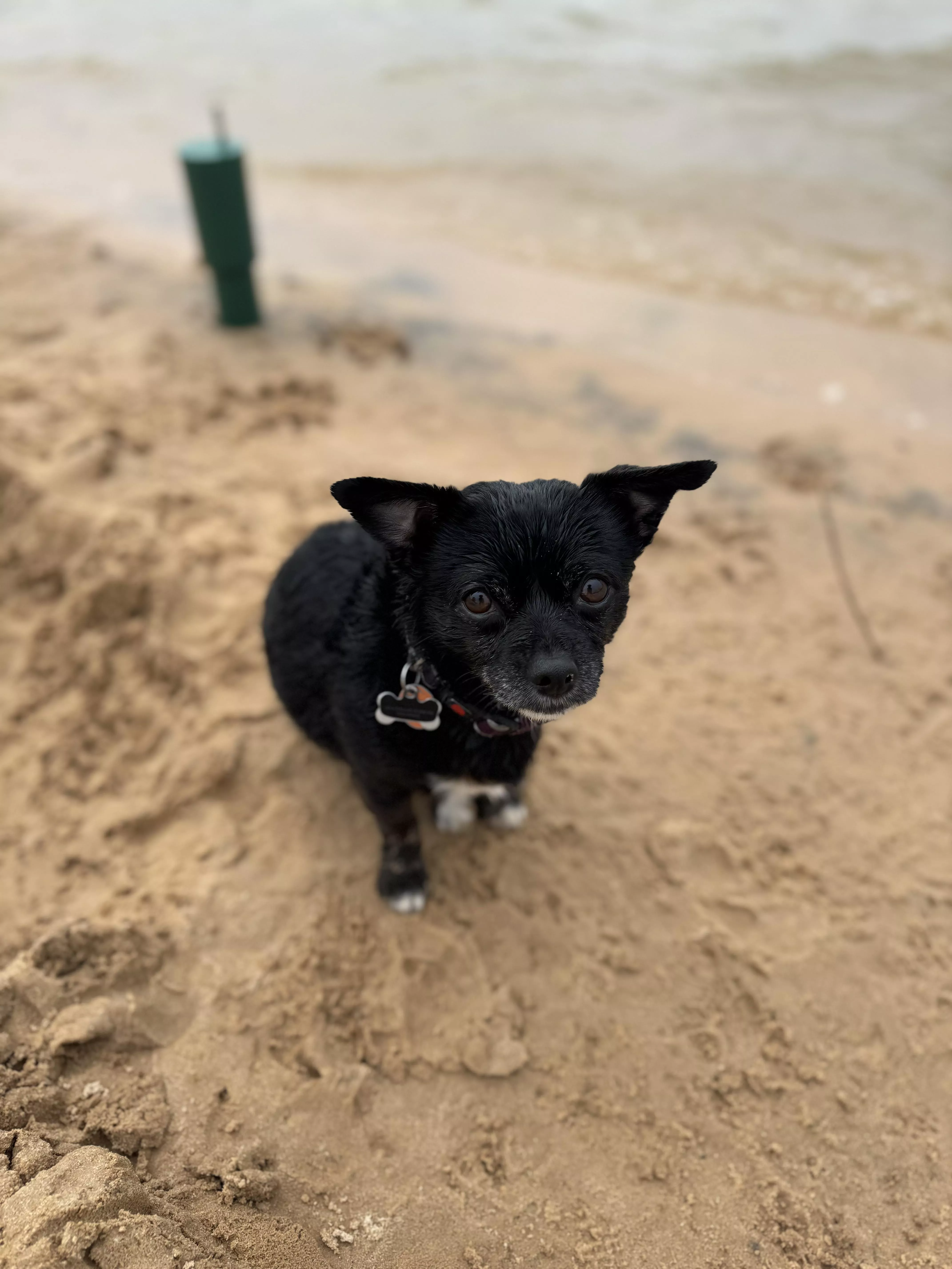 Peak Oklahoma beach (she doesn’t have an OF) posted by roqthecasbah