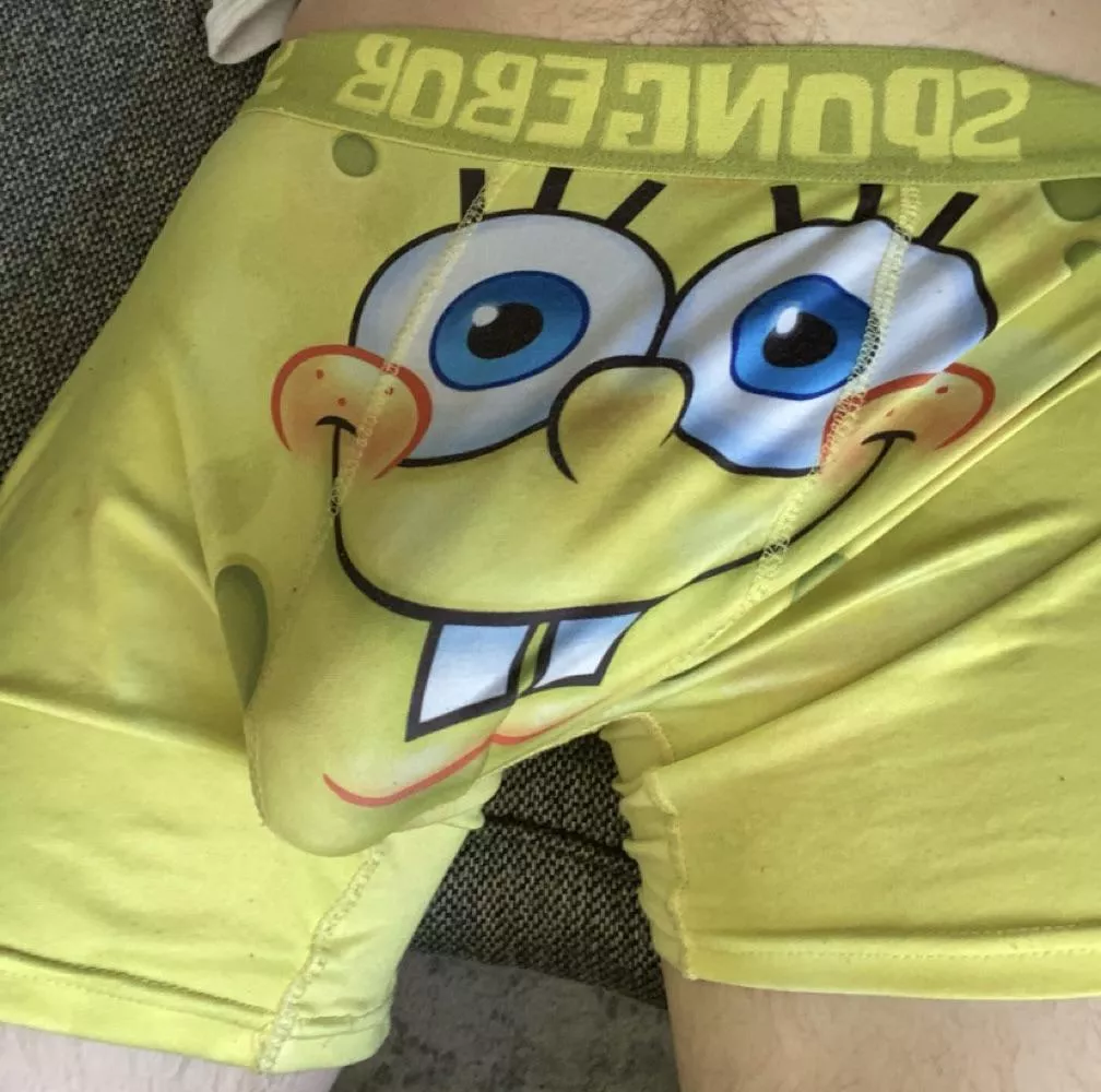 Who lives in a pineapple under the sea? (23) posted by SomeLibtard