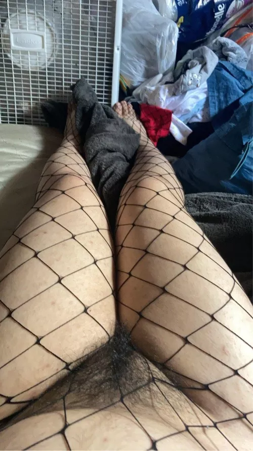 Wouldn't you love to put your face [h]ere? by GhostTrojan1199