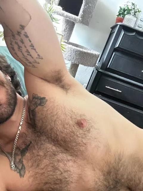 fresh pits, fresh attitude posted by GrahamThrustbourne