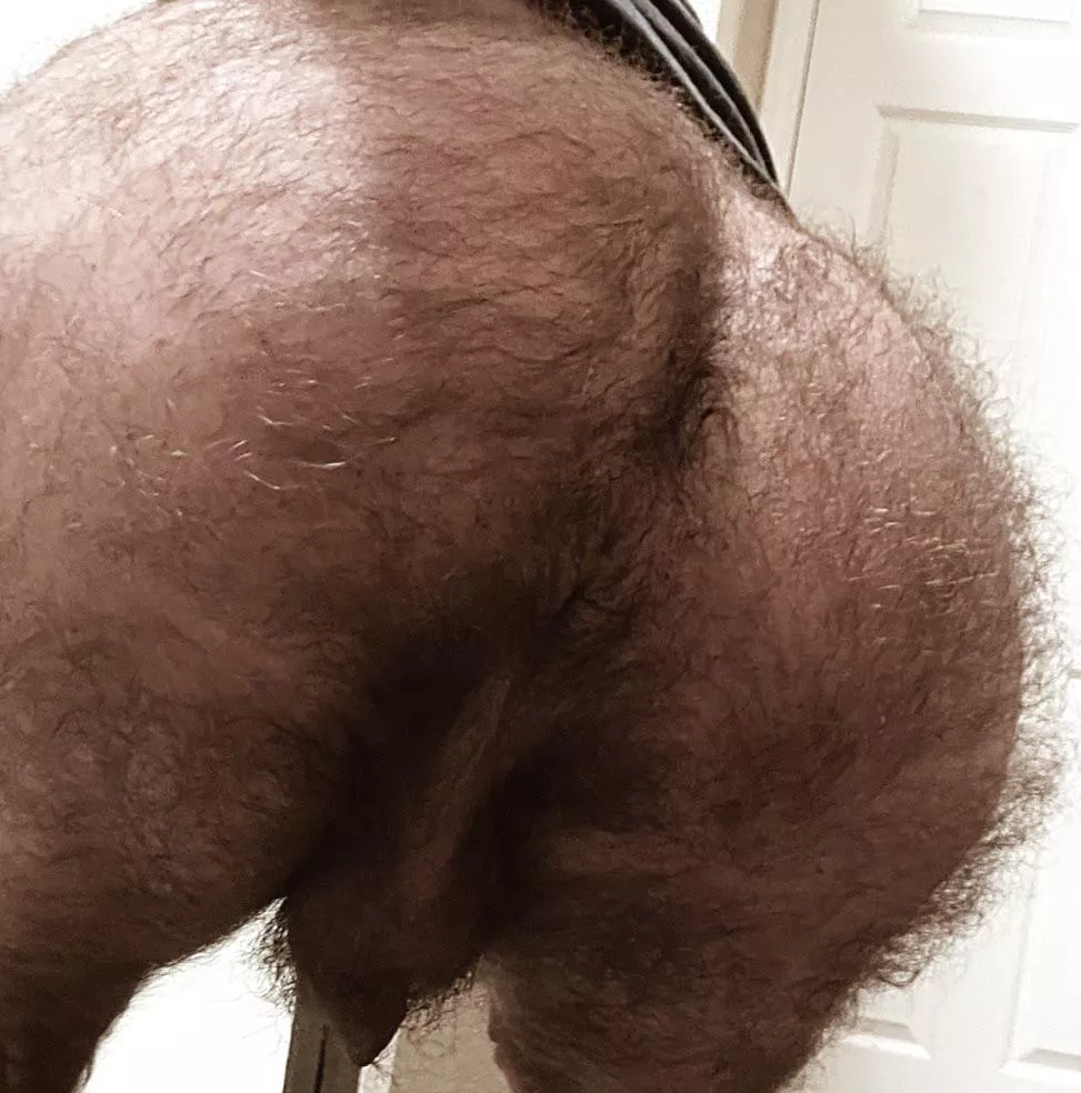 Your view just before I sit on your face posted by gym-dad