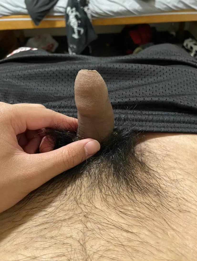 Filipino uncircumcised (20) posted by Prize_Ask_6616
