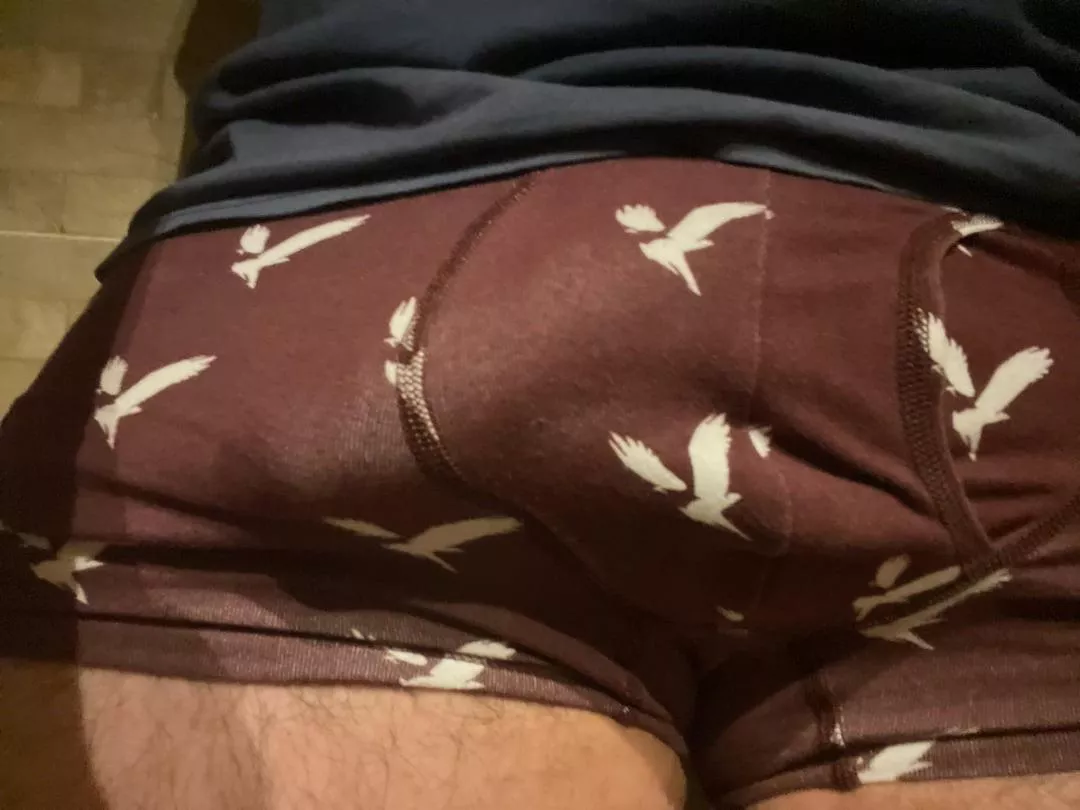 Lost in the underwear (21) posted by Cultural_Addendum276