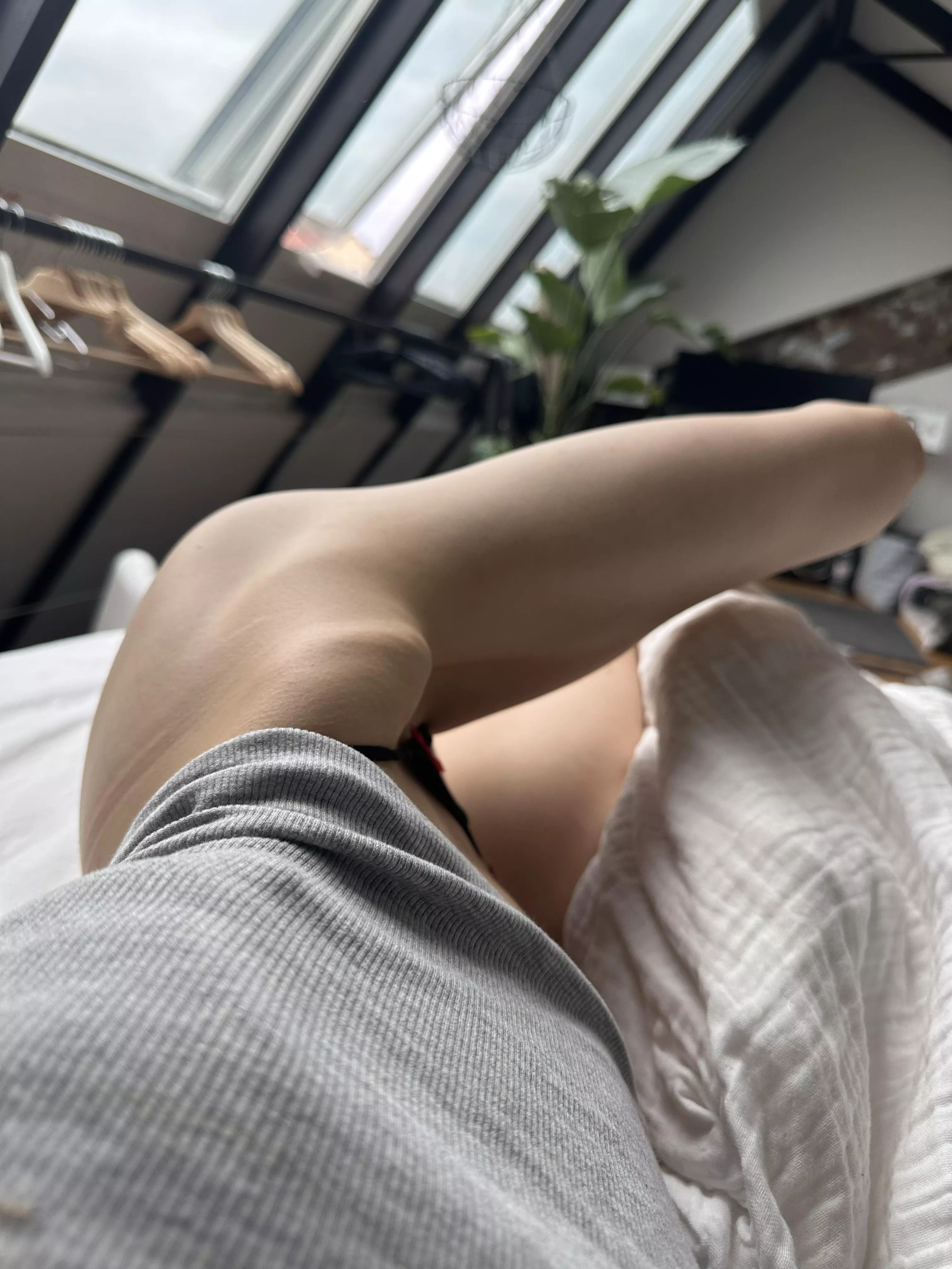 My morning view  posted by ClaraNekoo