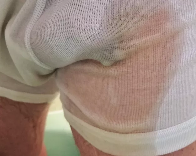 My PA showing through my pissy, rank boxer briefs 🐷 by JKPig66