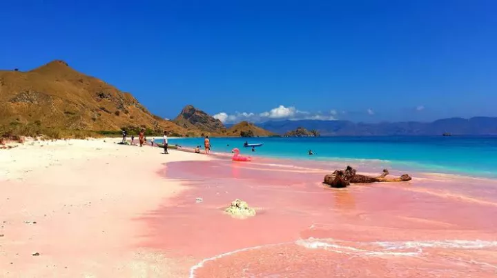 Pink beach in Indonesian  posted by mighyarr