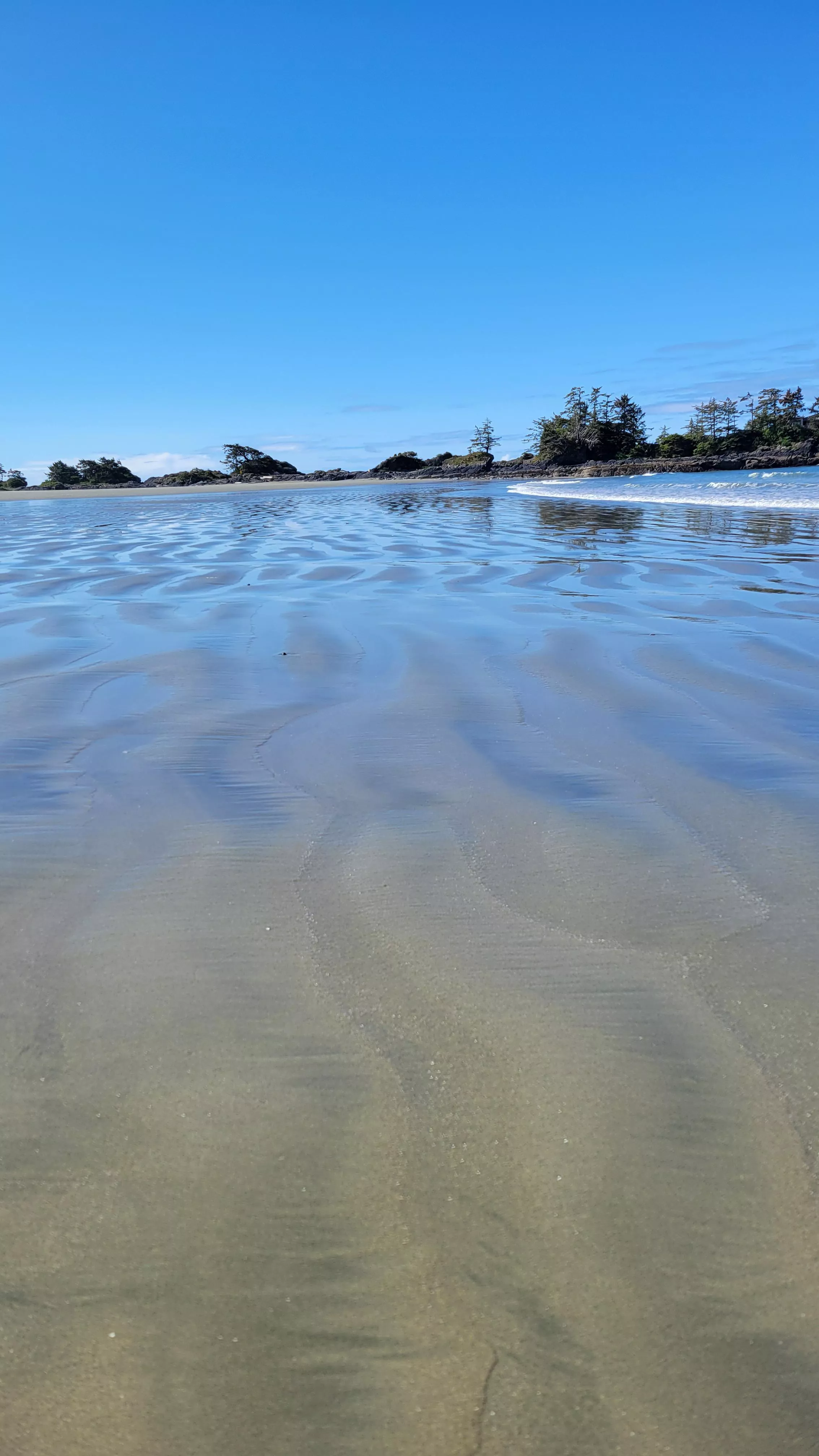 Tofino, BC posted by ParkingVanilla3202