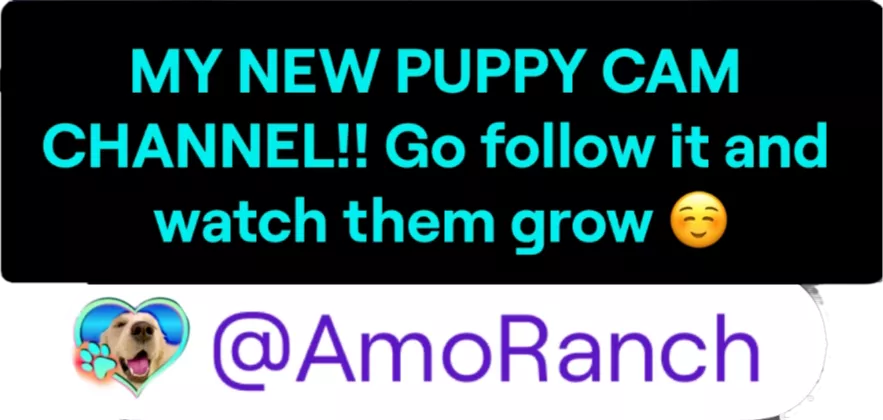 TWITCH.TV/AMORANCH posted by InfiltratorOmega