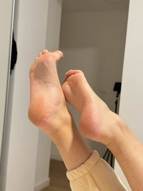 Would you like to touch them?
 by ElisaHagginton