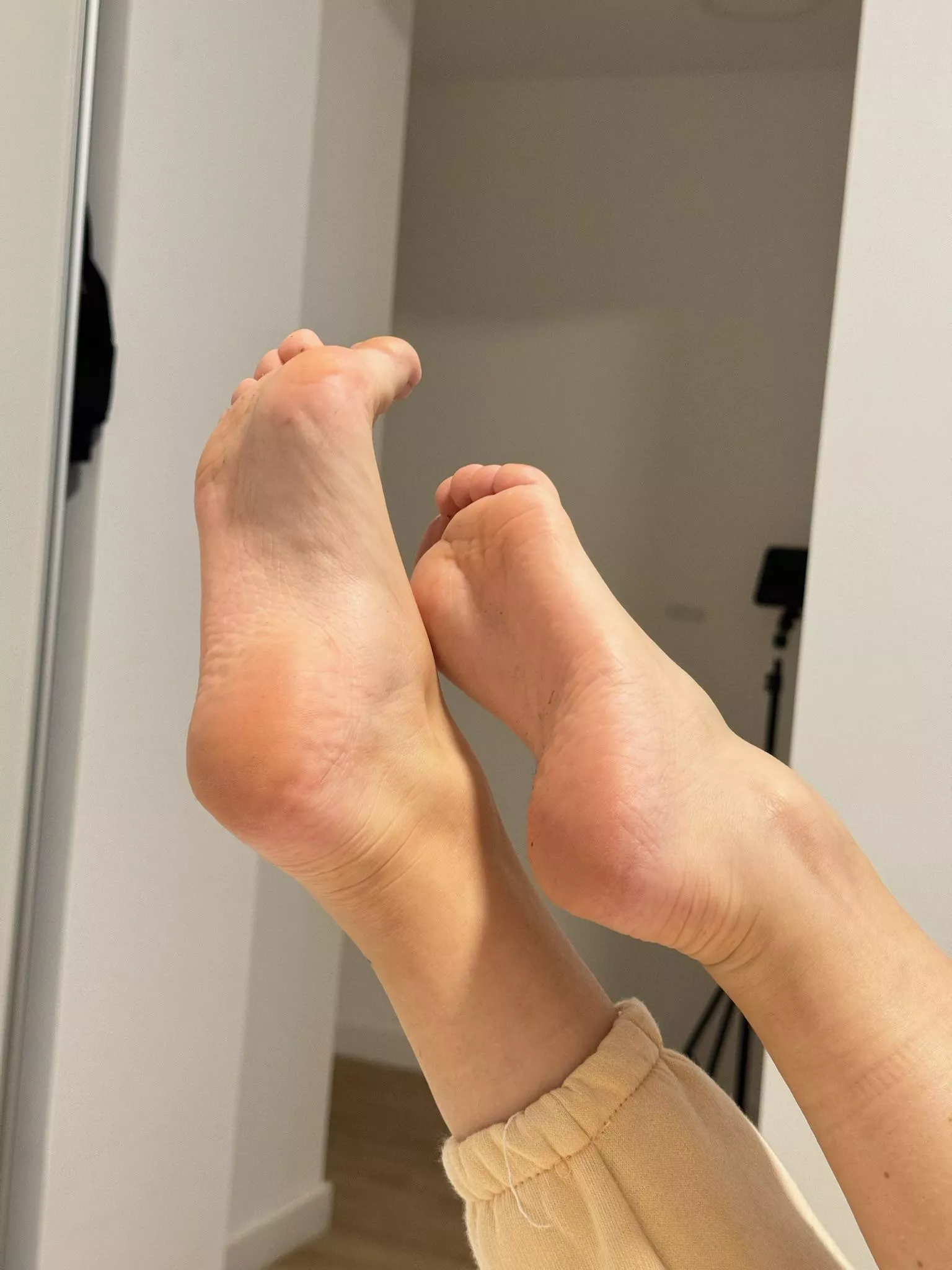 Would you like to touch them?
 posted by ElisaHagginton