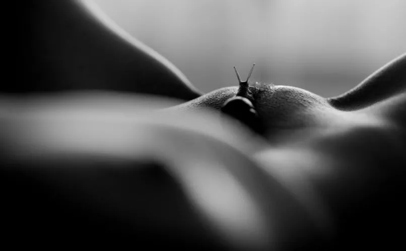 Lucky little snail by Vasile_Barbu