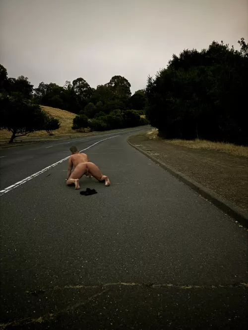 Nocturnal by disposabletissue