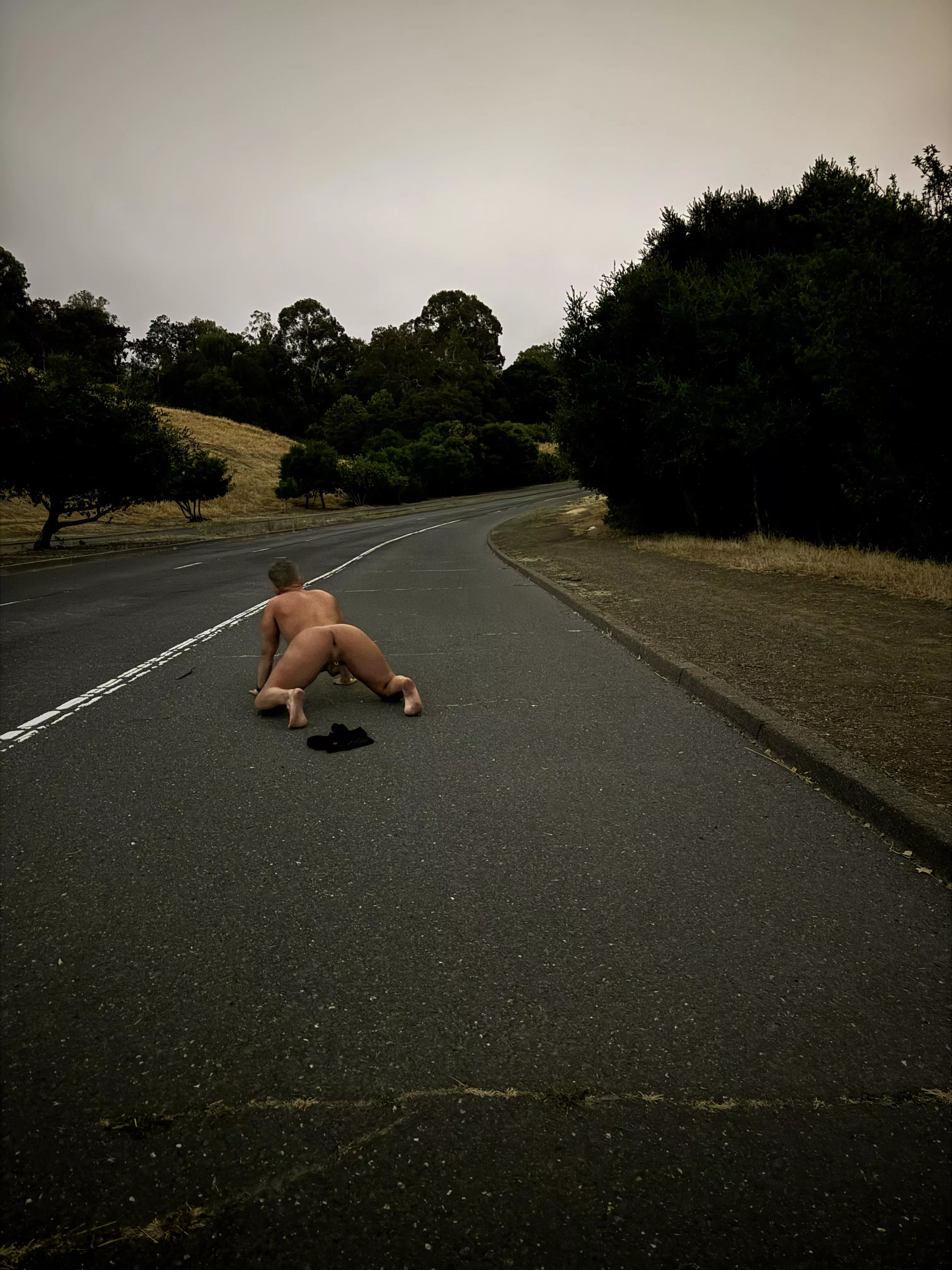 Nocturnal posted by disposabletissue