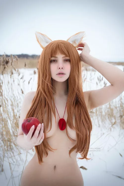 Holo (AsamiGate) [Spice & Wolf] by Asamigate
