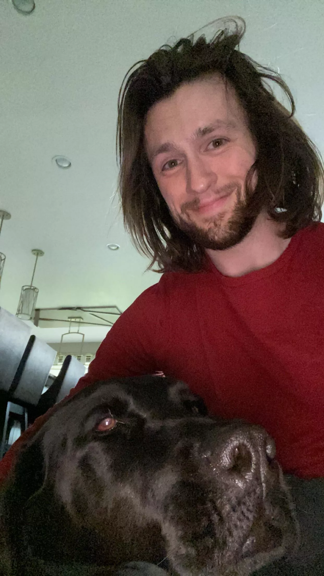 Just two sleepy guys posted by JackedPuppy