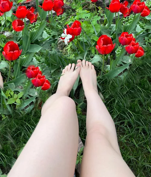 Lets play outside? ❤️ by Lara_xoe