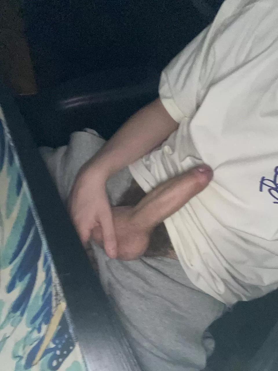 You know you want it posted by Revolutionary-Fox-30