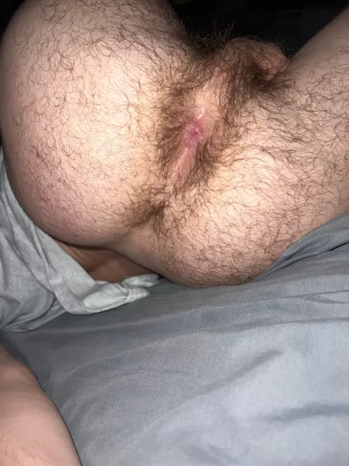 Ass is more hairy than ever  by Drakey2000OF