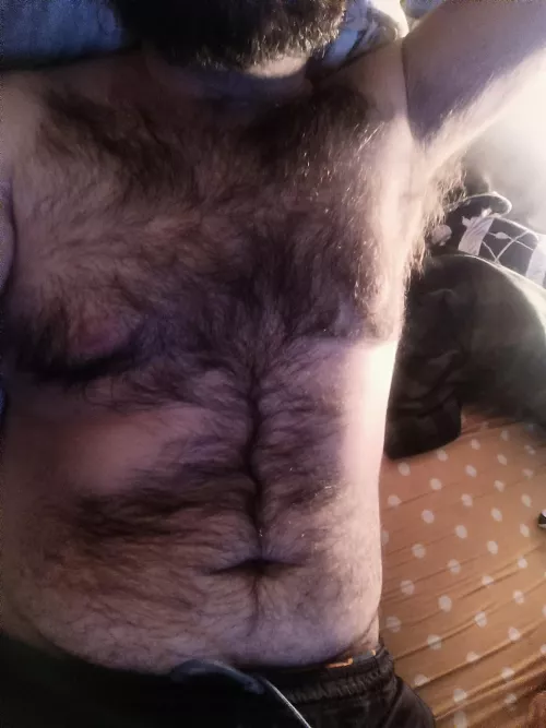 I need some cuddles ❤️❤️ by anonlatin26