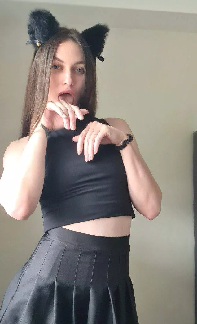 I'm a kitty who licks everything very well posted by Purring_Honey_