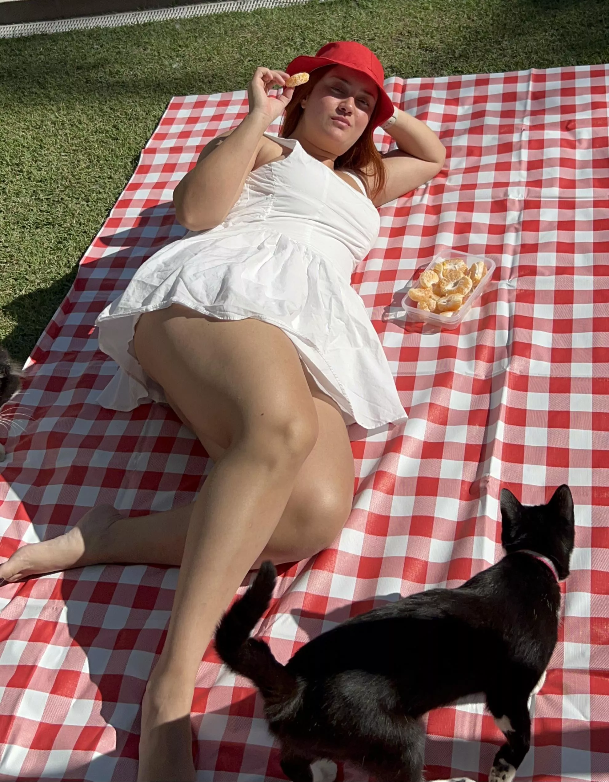 @mjohreisen picnic at my garden posted by Puzzled_MJ