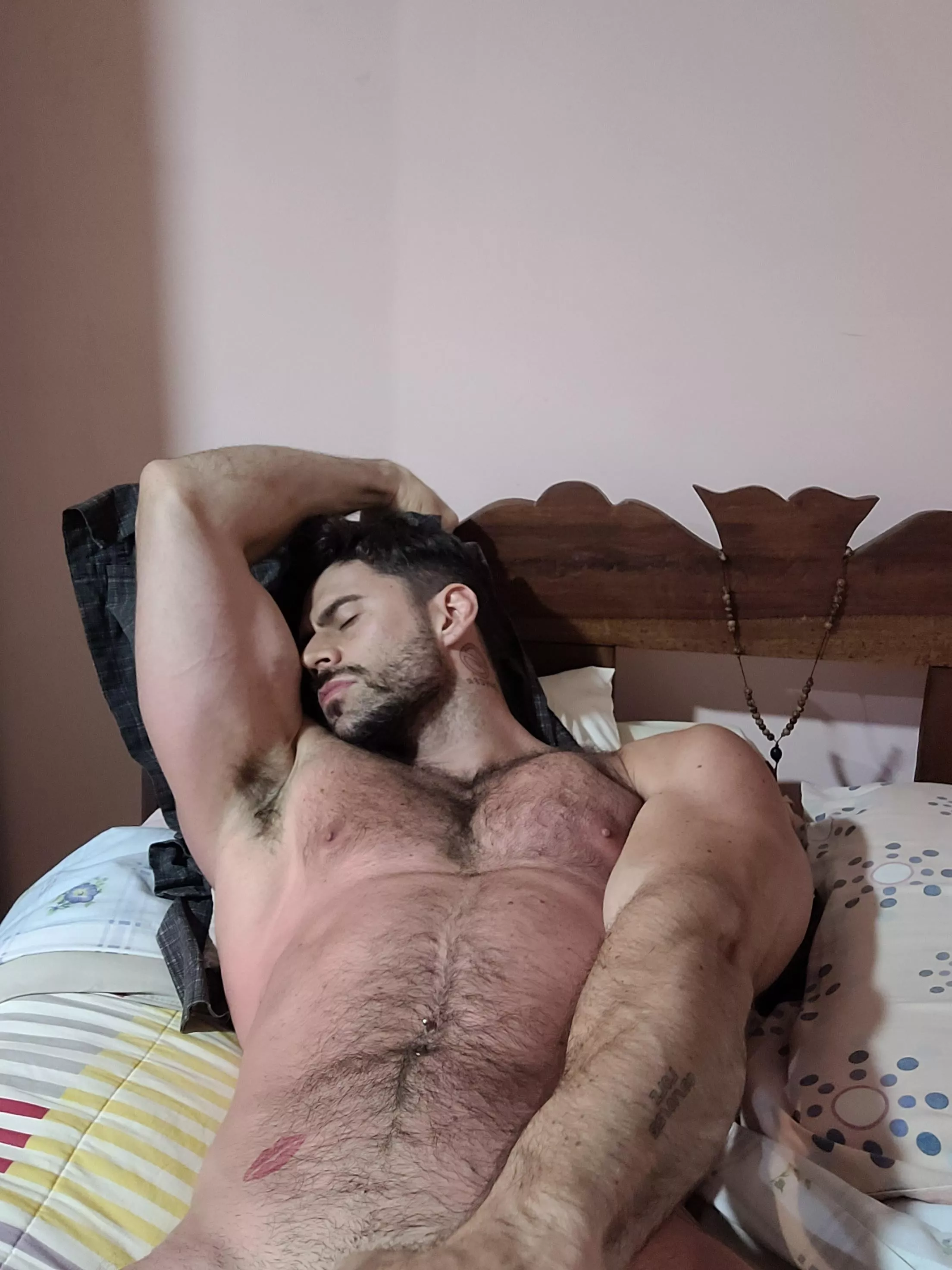 The pheromones are at their peak posted by emilianorajzner