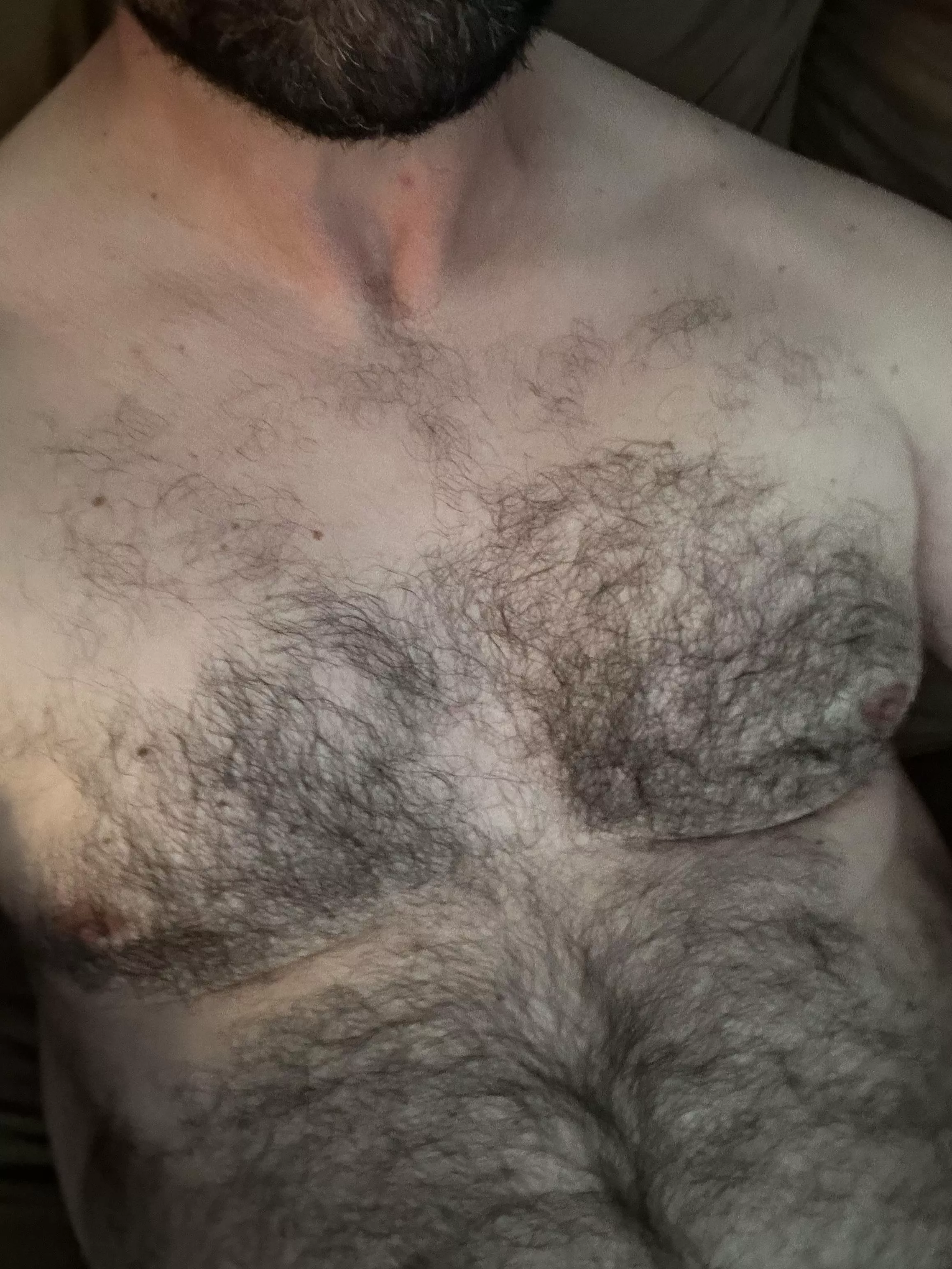 Who wants some fur this afternoon? posted by mountainfur39