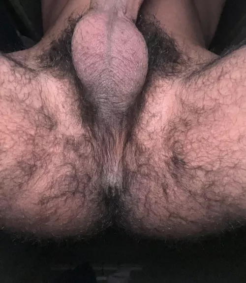 all this fur at 19 by No_Butterscotch_2700