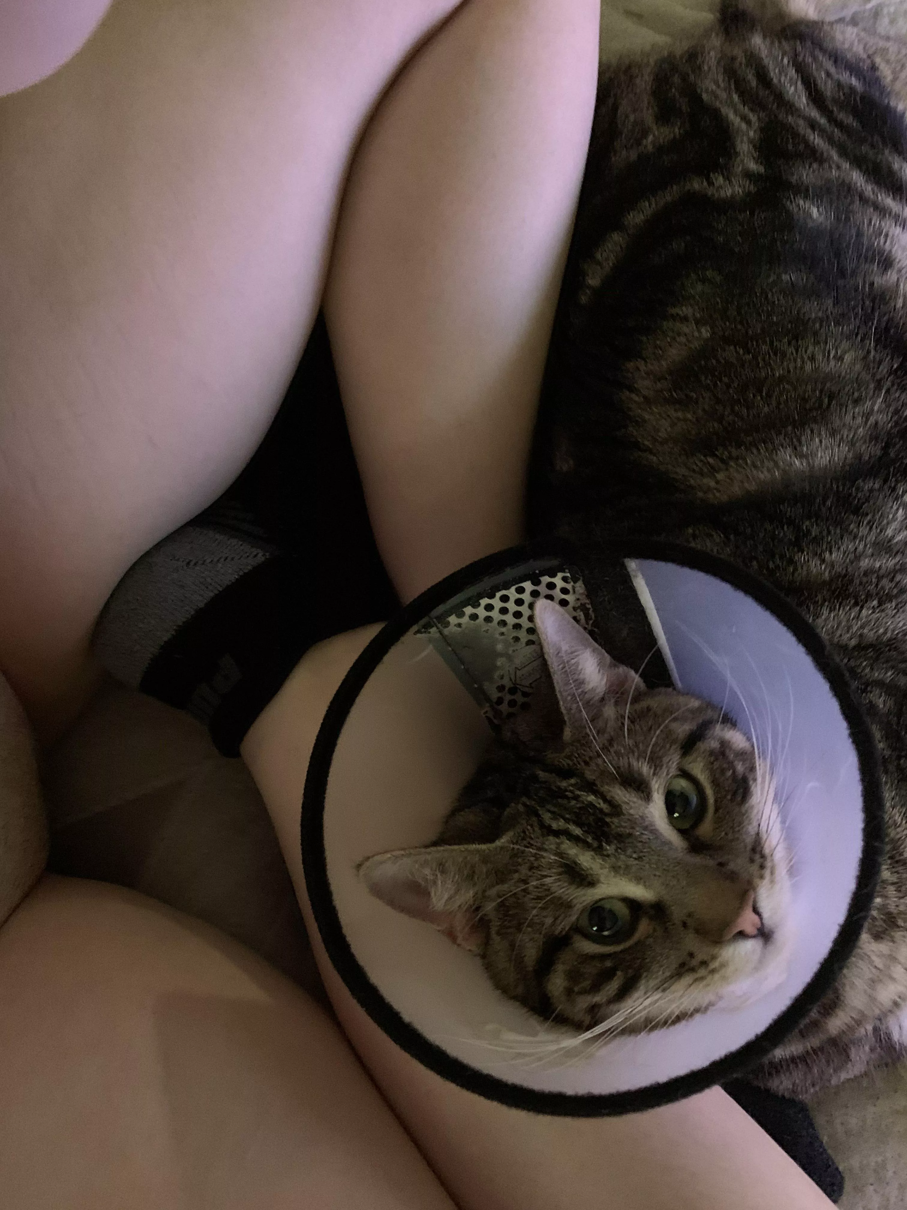 Chillin with my kitty, poor guy hurt himself posted by l3WDtime