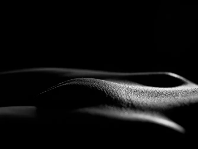 detail by Vasile_Barbu