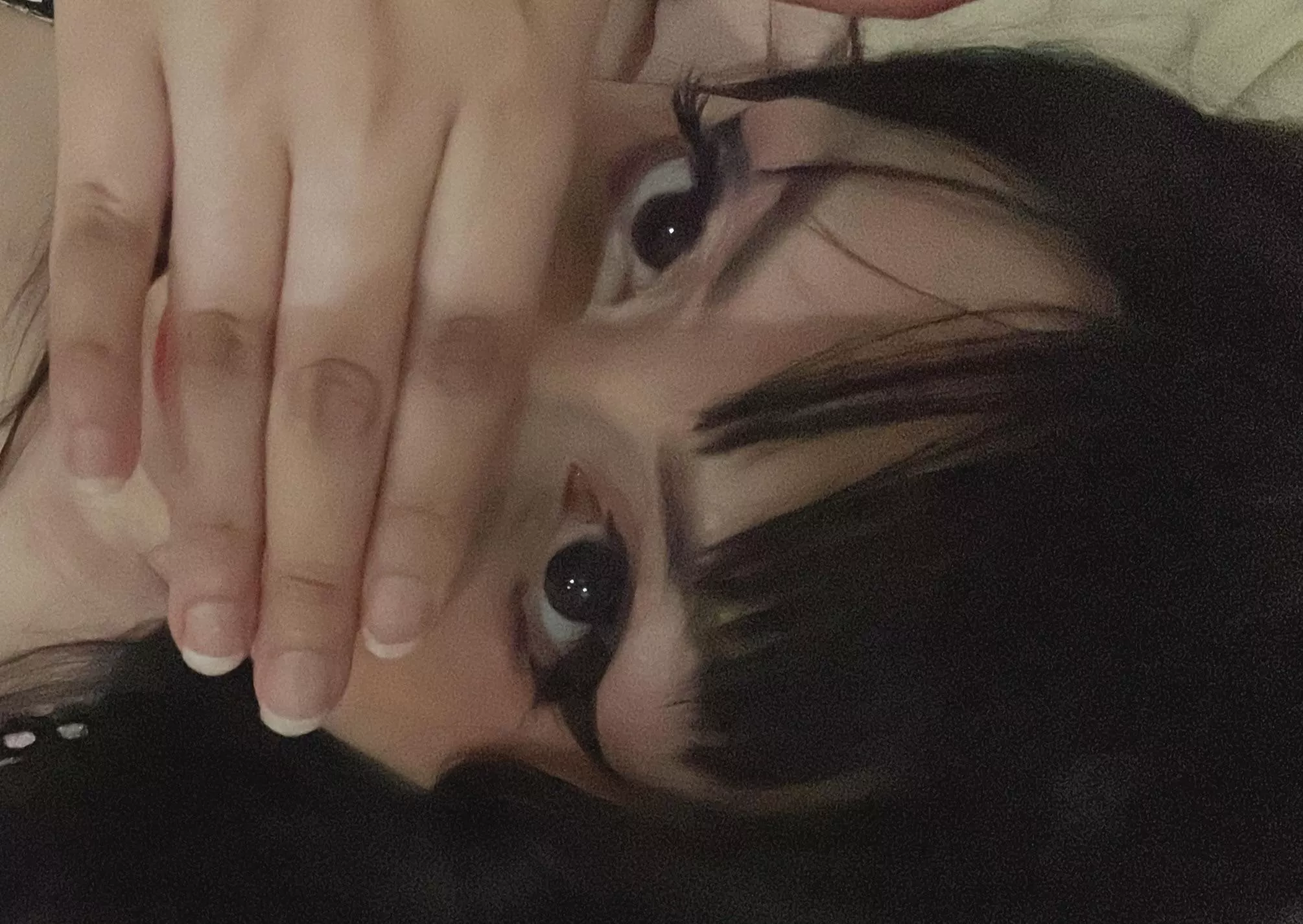 Hi I’m shy :’c posted by xheartcore