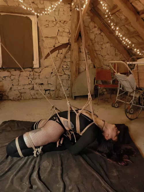 pleasures of semi-suspensions  by semenawa