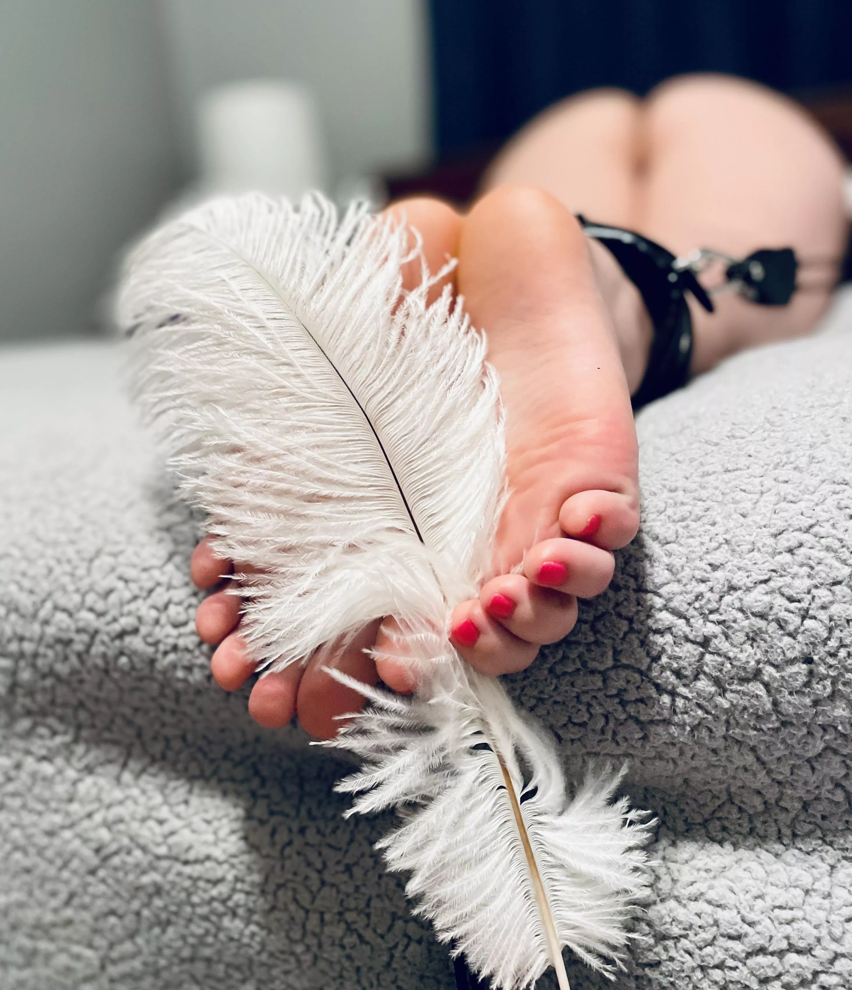 Soft Feather Tickles posted by the-tickle-daddy
