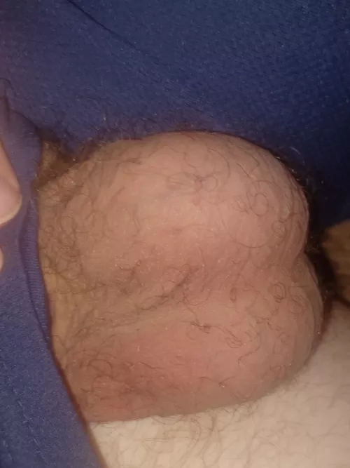 What donu think  by zach2a