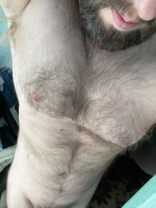 40m Looking for other hairy men to jerk with. Hit me up. by Bryc235