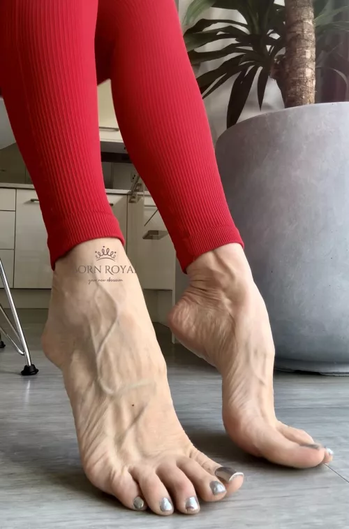 Arch and long toes by bornroyal_feet1