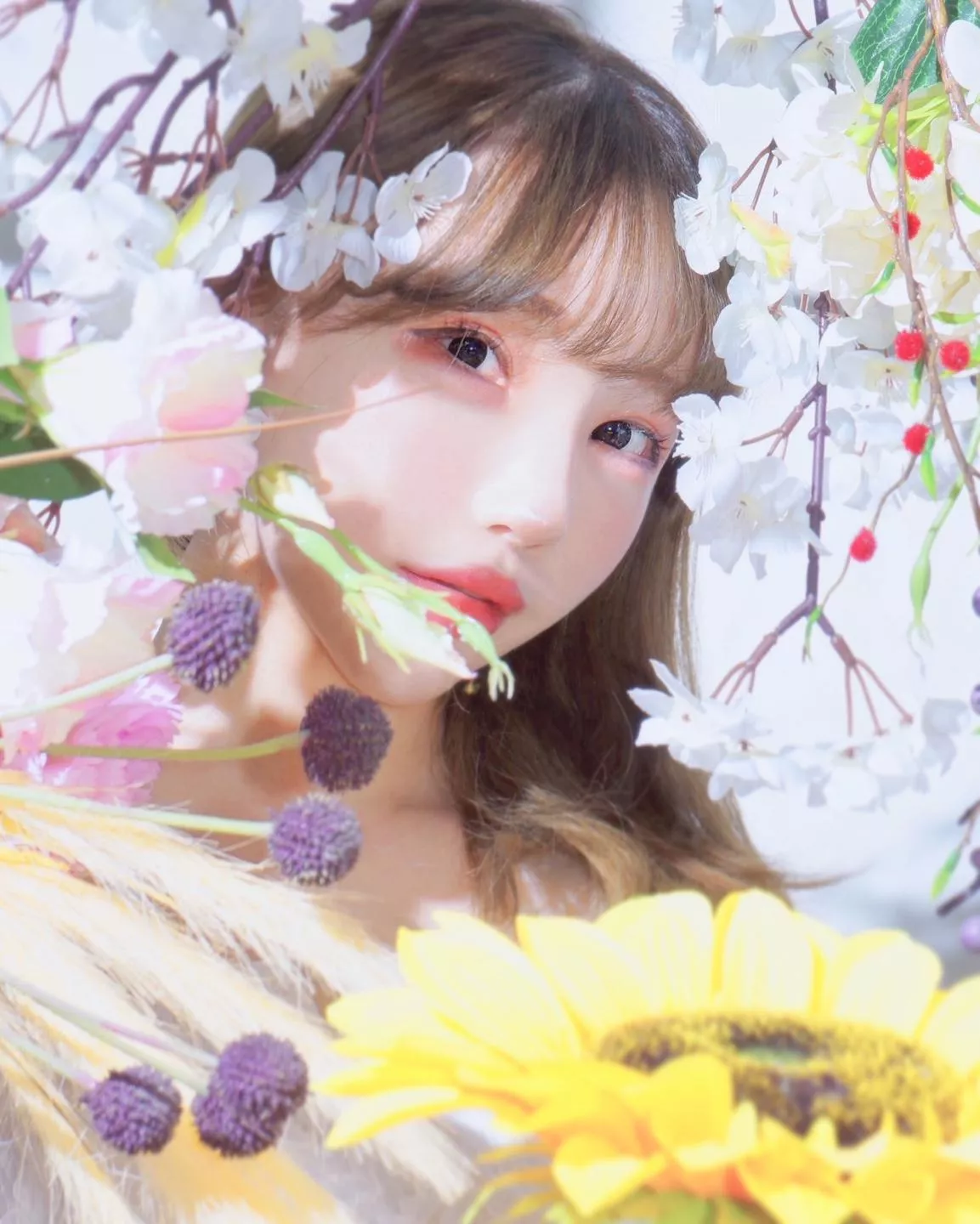 Candy  posted by Amethyst_Peach