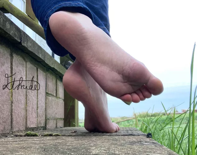 Enjoying the view? by Elfrida77